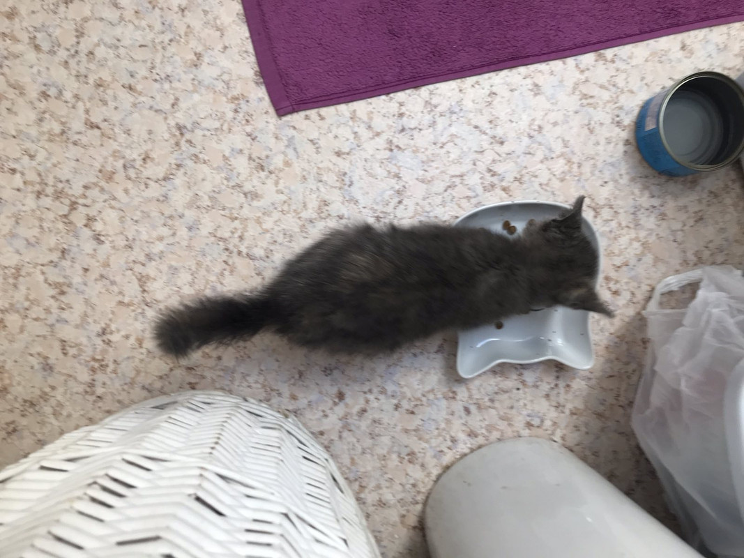 3C343A82-3CC1-44DA-875B-A2EA4D82F752