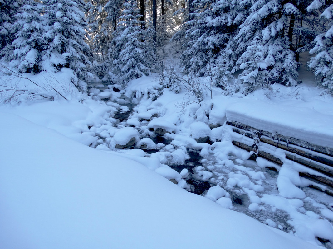 05.13 - DSC06261 (Czesio1)