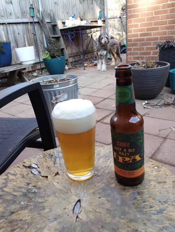 IMG 20260203 101013101