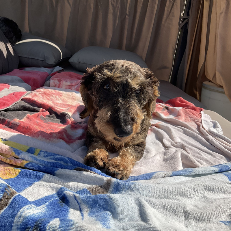 [Image: IMG-0137.jpg]