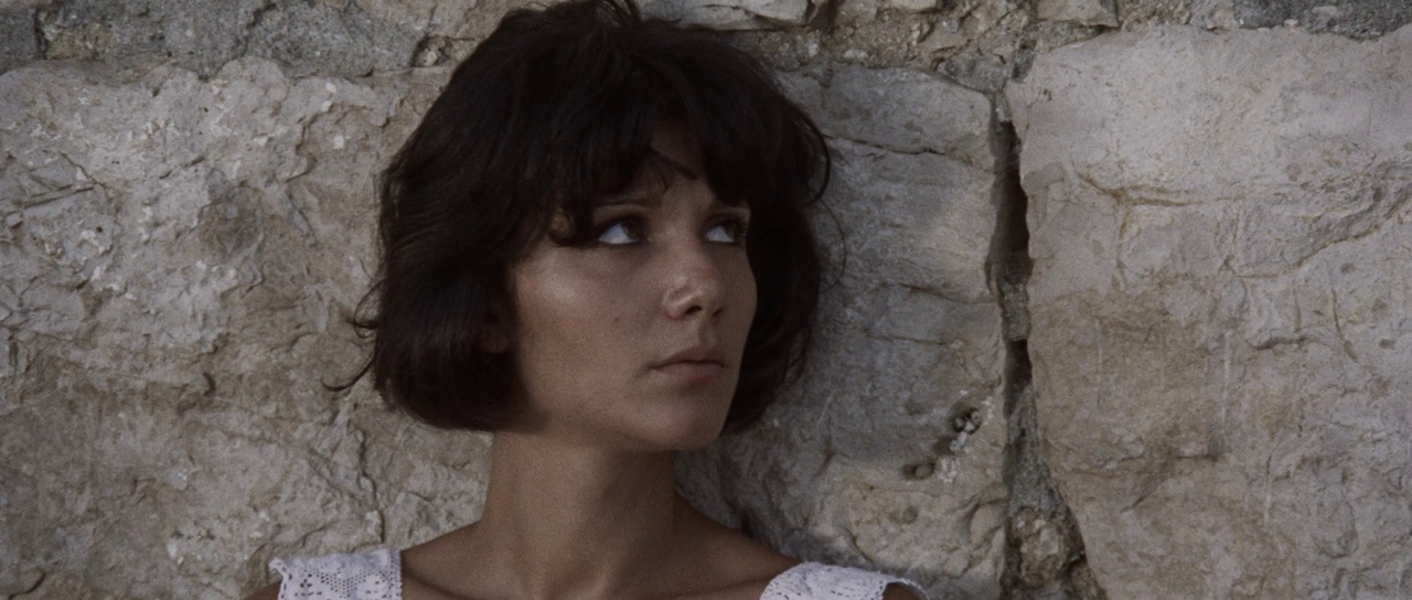 vlcsnap-2024-03-08-19h21m30s979