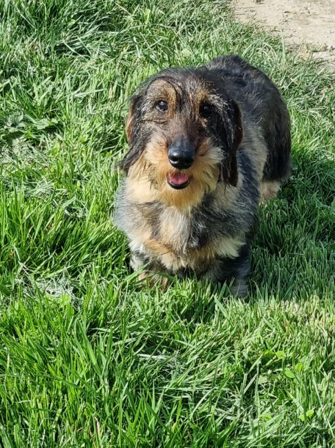 [Image: image000001-46.jpg]