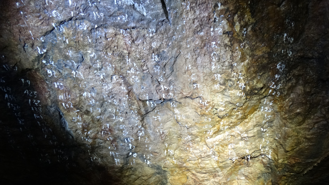 10.15 - DSC09960 (Czesio1)