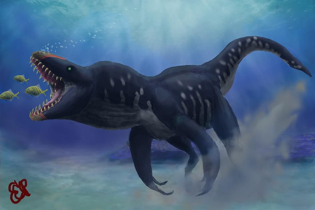 37dbb79ba514834ed55f3f235c30d08b