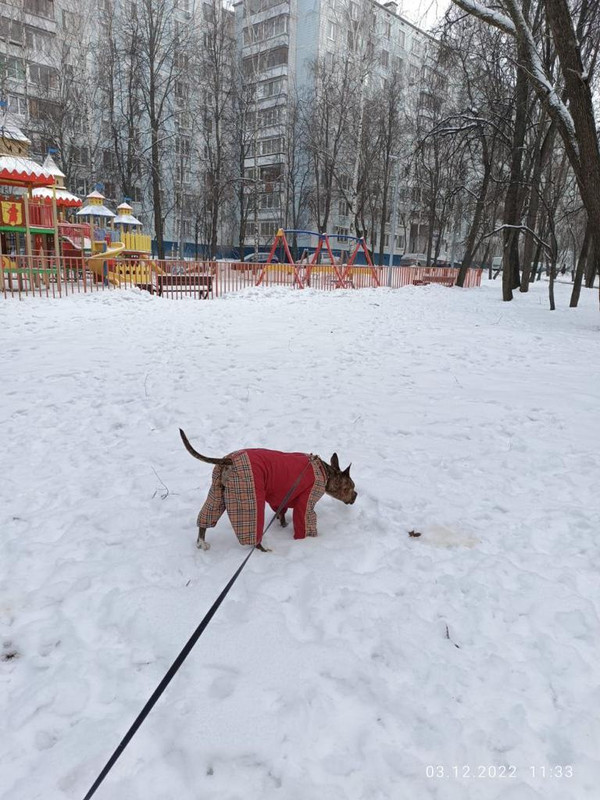 BCA1F79C-6A9B-4AD0-BBC8-F4037DC0F6D0