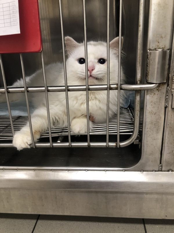 BBB3F5BF-7C42-432D-B27D-7A8F0C4E79DA