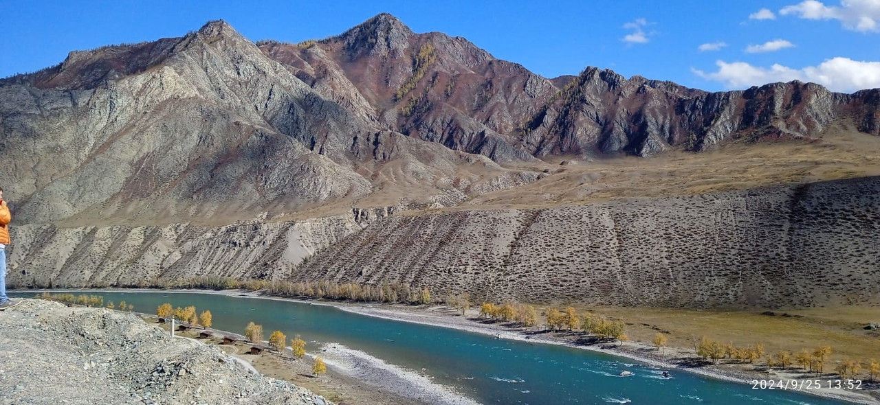 Изображение WhatsApp 2024-09-26 в 04.03.57_af283faf