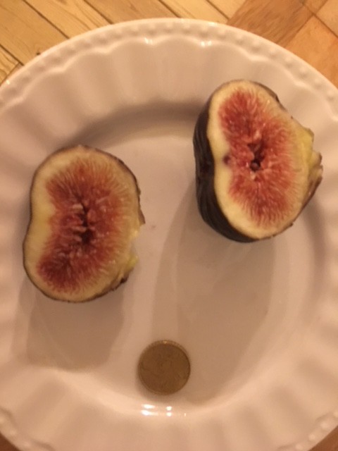 E01F82DE-C983-485D-9F20-5A968E3504A4