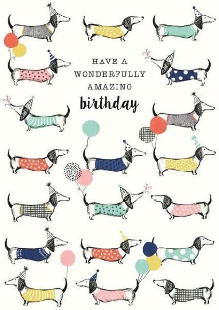 [Image: Anniversaire-teckel-3.jpg]