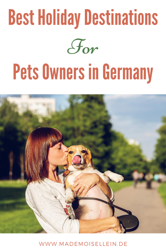 The Best Tips For Travelling With Pets in Germany