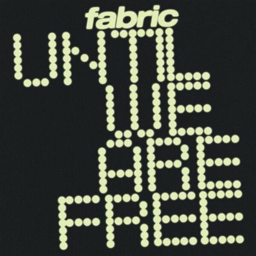 Fabric-Until-We-Are-Free-FLIES78-24BIT-W