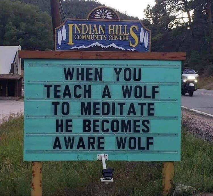 Aware-Wolf.jpg