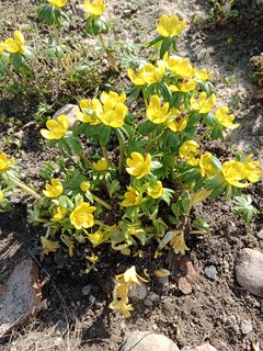 IMG_20240316_150742