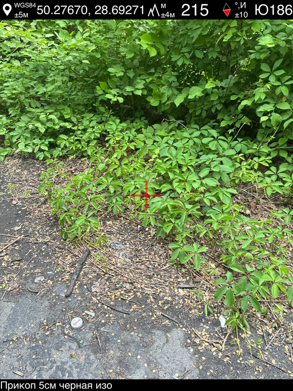 photo 31 2026 05 27 16 43 37