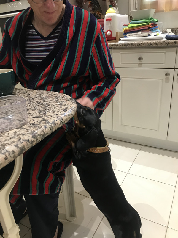 [Image: 24-BB24-C6-9844-47-BB-846-B-FA3-E3-FD91-C2-B.jpg]