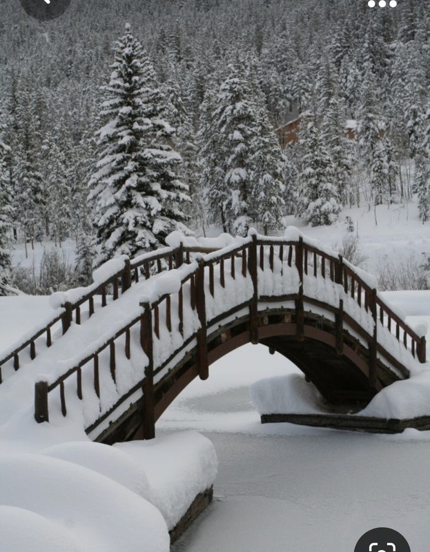 Screenshot_20231023_214012_Pinterest