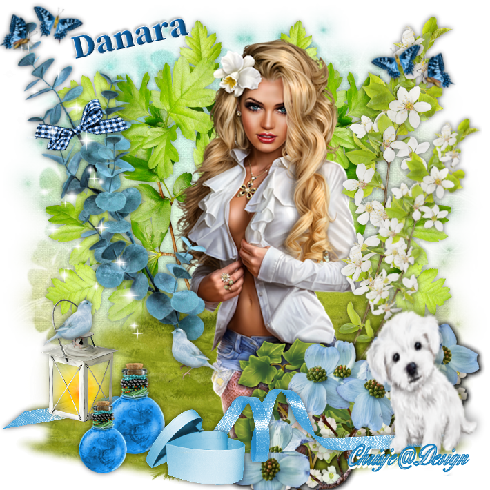 Image and video hosting by TiyPic