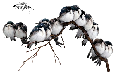 7235095788b6c8ea3851f8ff6001b3a7