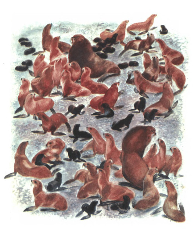 p0015