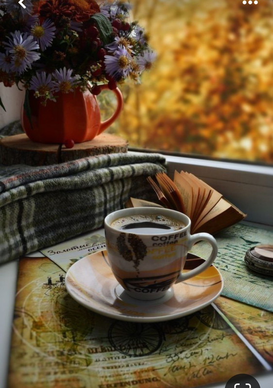 Screenshot_20230913_192117_Pinterest