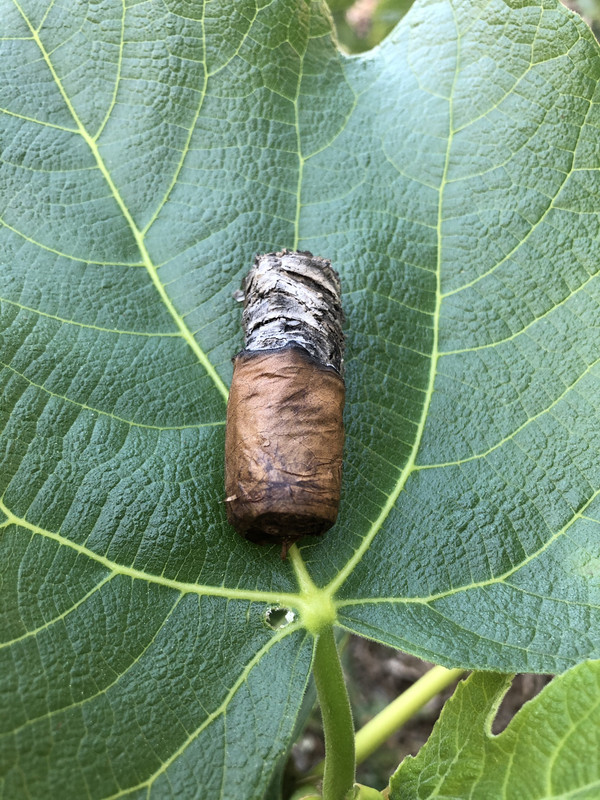 ABD55777-4A31-4E1A-BB13-D815485C3987