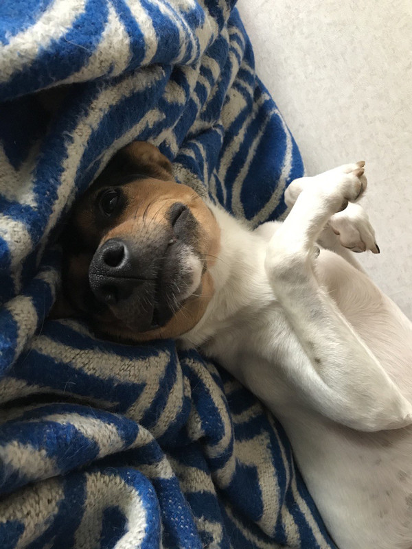 4AE9E8B6-D951-40D2-9770-0943BB902875