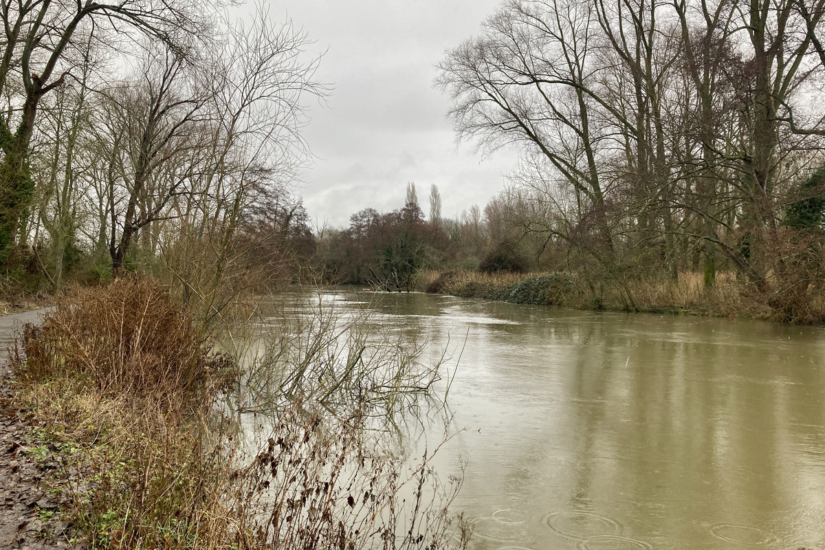 0FBEF23E-C385-41A3-B927-2A962C3F2B09