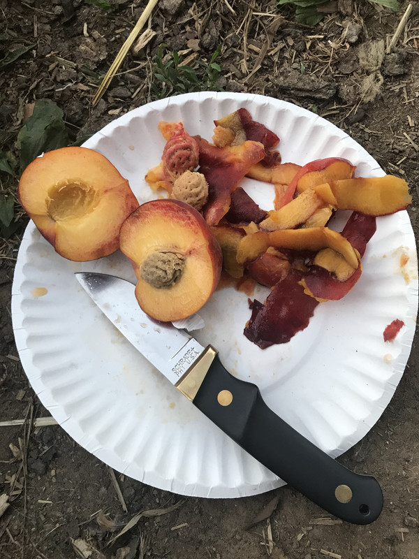 243EE207-AD62-4CF3-A549-A4338A798645