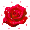 rosa-vermelha.gif