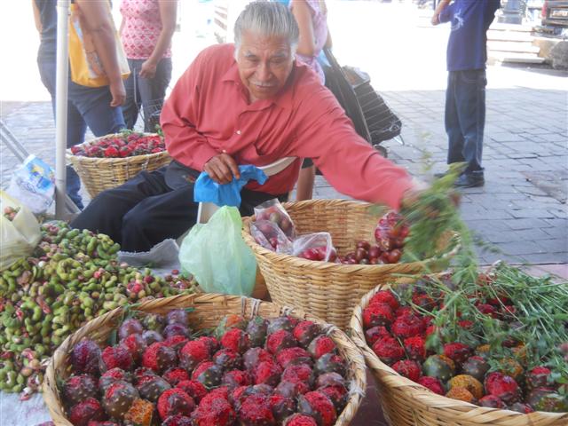 DSCN4397