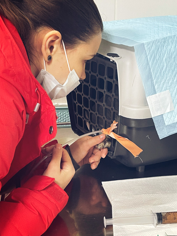 569BBCC9-AC2A-4BE0-BC7D-0879D4A03B00