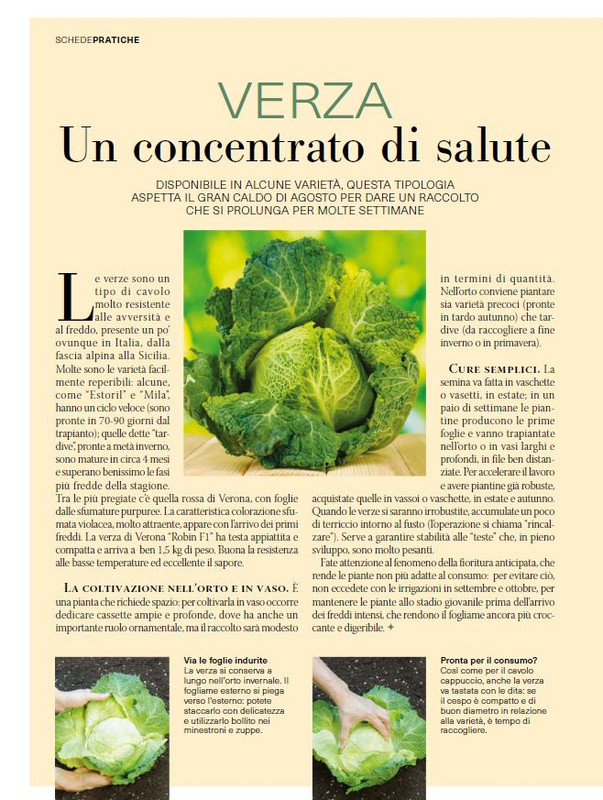 Il Mio Giar Ott-Nov 2024 (5)