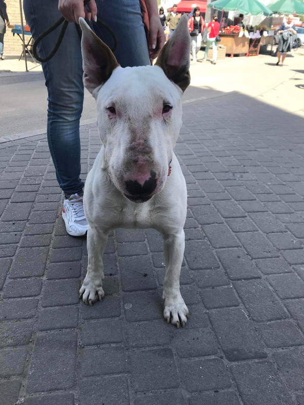 received_473685711544440