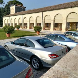 IMG_20191209_081228_407