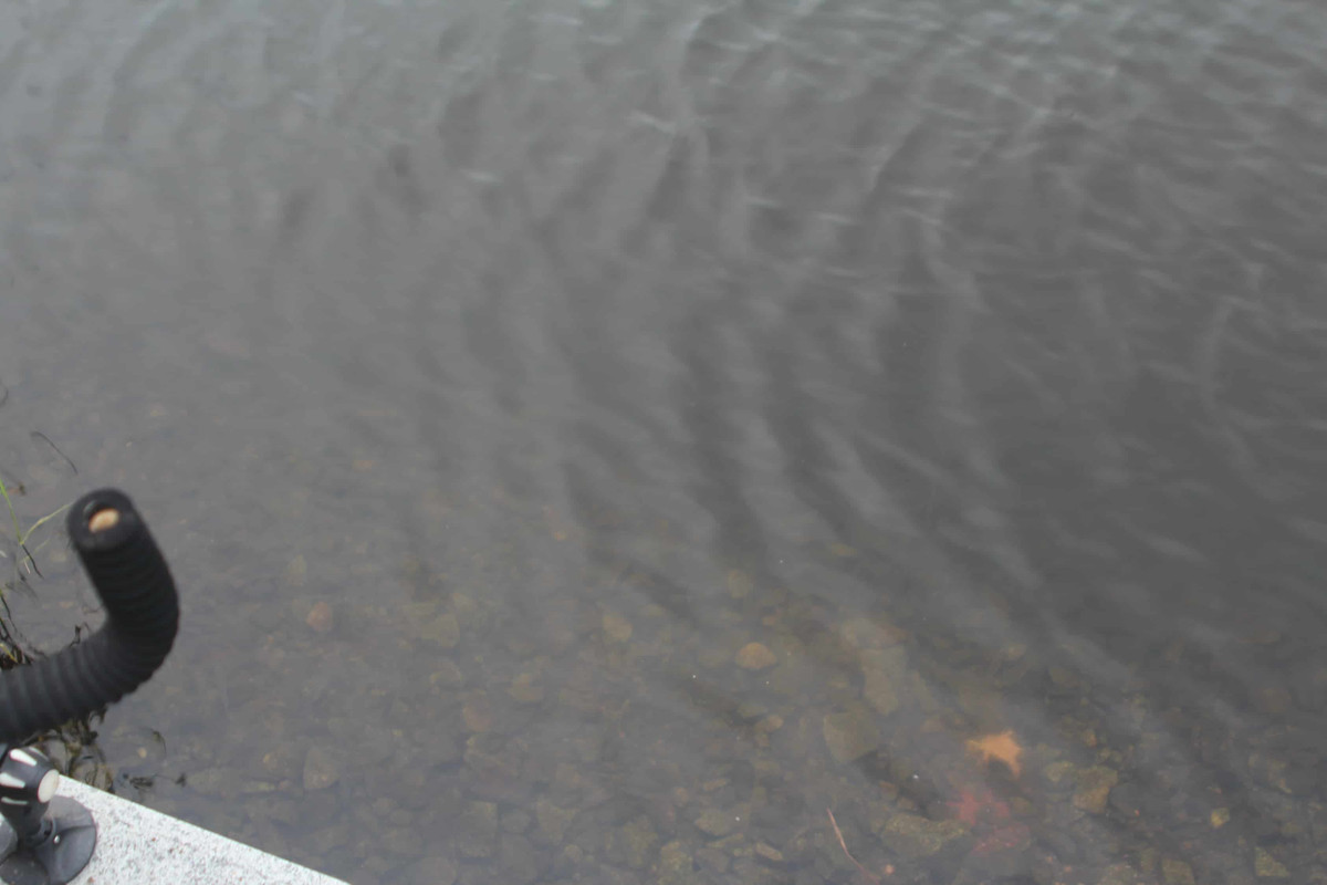 IMG_8941_новый размер