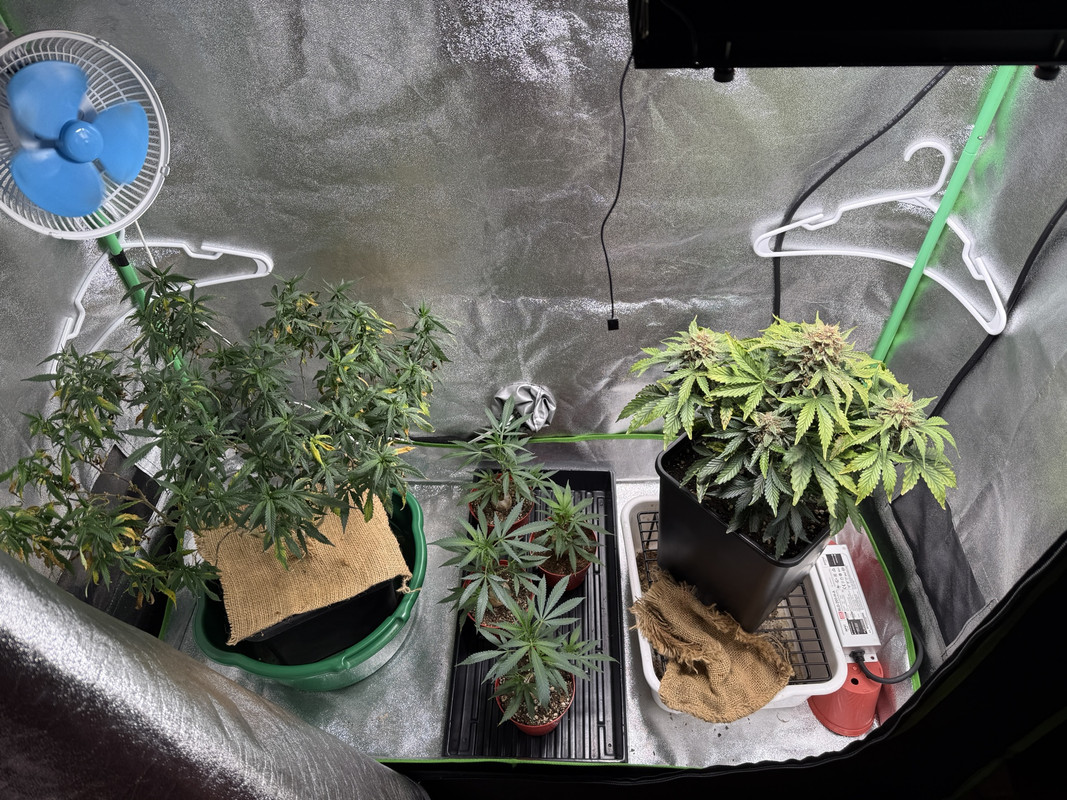 79D9F2D8-B48D-4B04-AE19-FC52C2A46C23