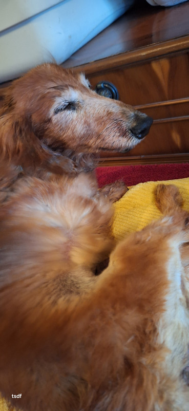 [Image: 20250719-100650.jpg]