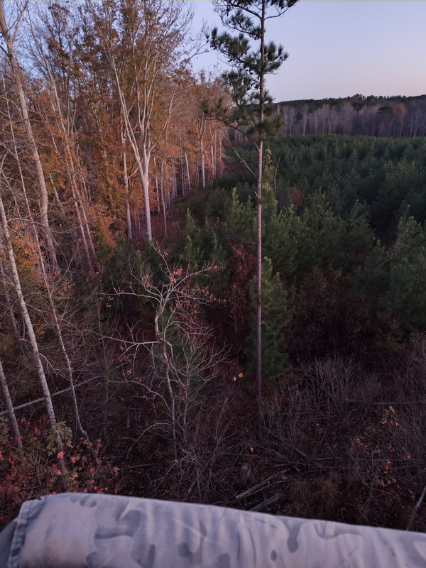 IMG 20241123 065526829