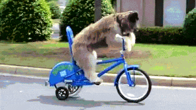 daily-gifdump-3406-08.gif