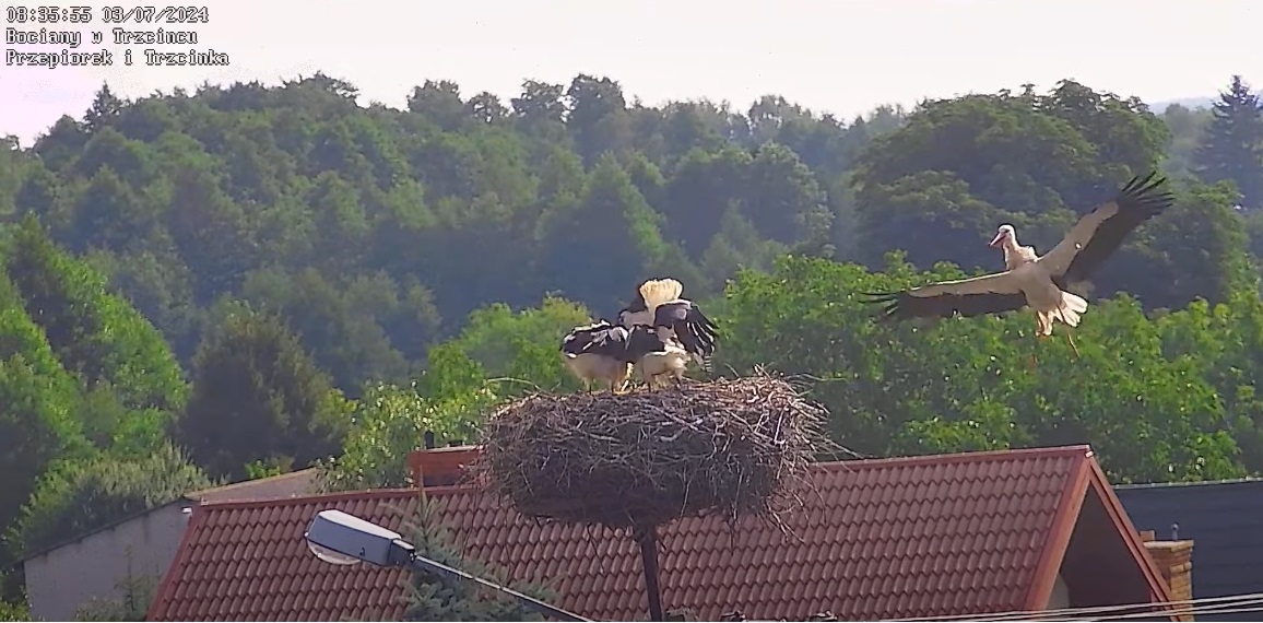 wspanialewidacprzylot