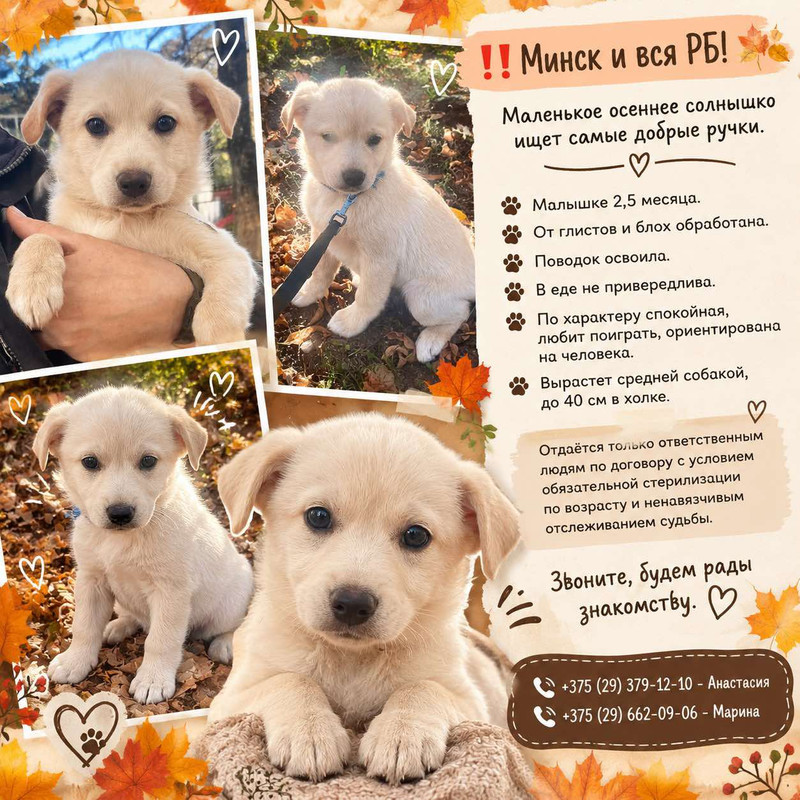 изображение viber 2026 10 20 11 08 30 997