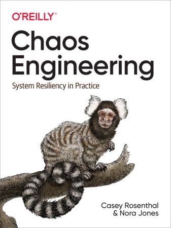 Chaos Engineering: System Resiliency in Practice (True AZW3)
