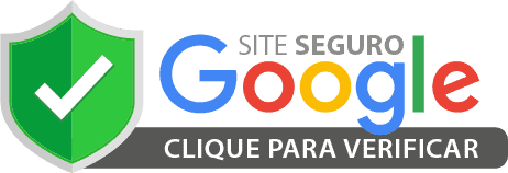 site seguro google 1