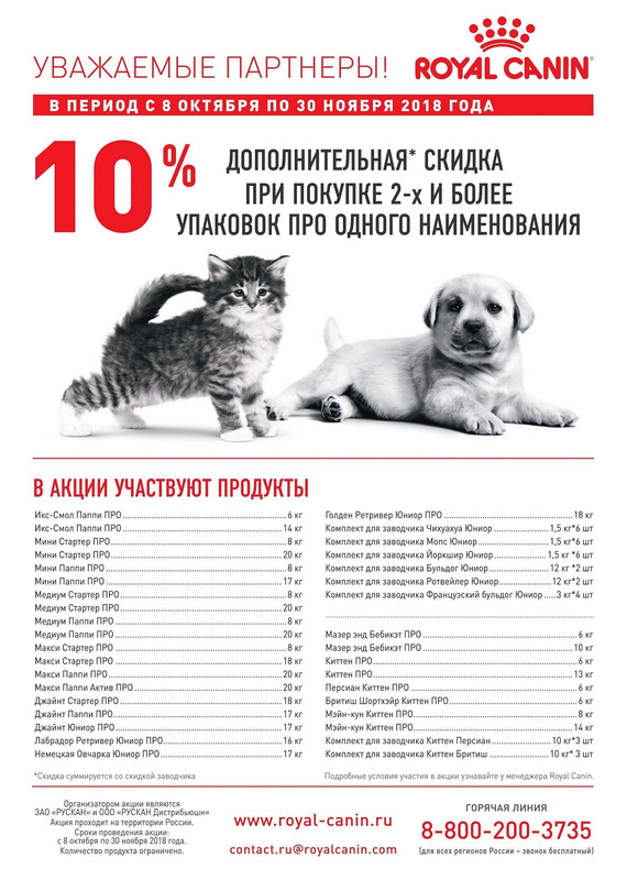 акция -10% щенки-котята