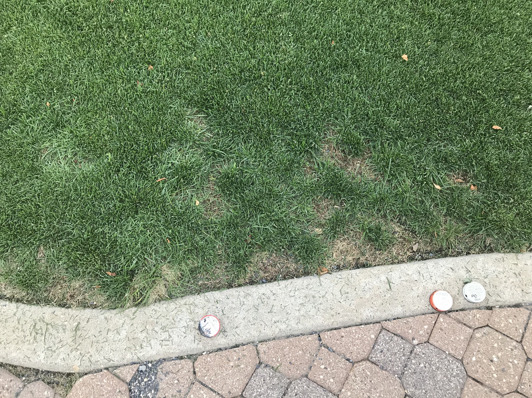 0F5F60B9-596F-4852-B3A8-146D71DA37B1