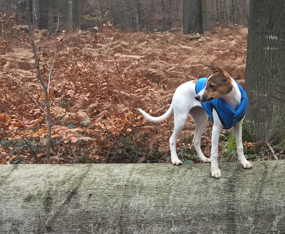 49ABE0D5-6F6C-43E3-9965-F36773FE8CD1