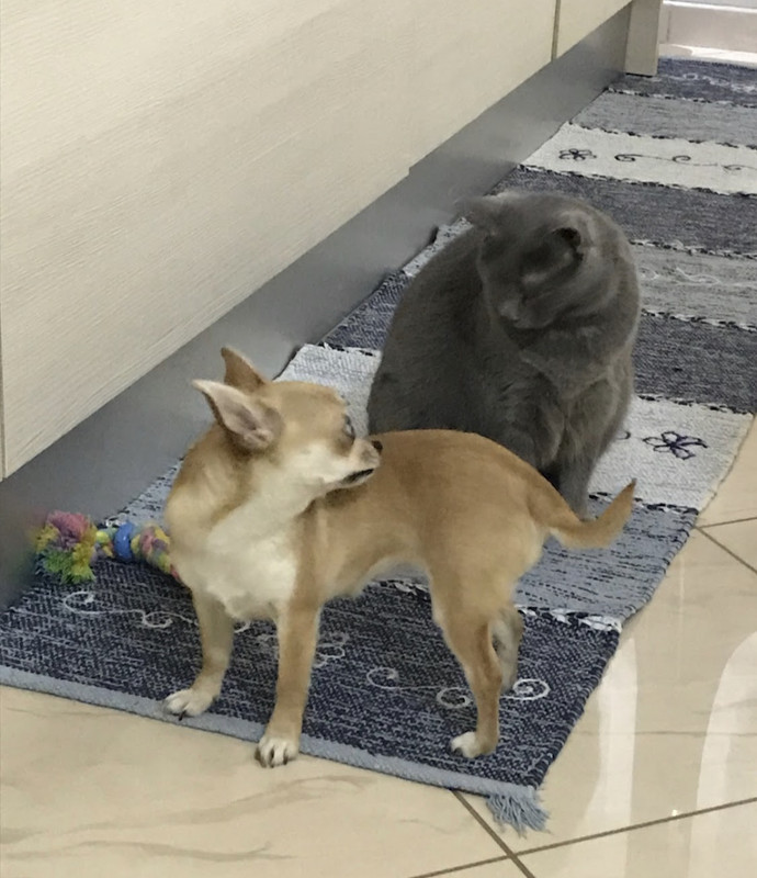 91BC1837-8BE7-4B71-954E-86D72069D2E8