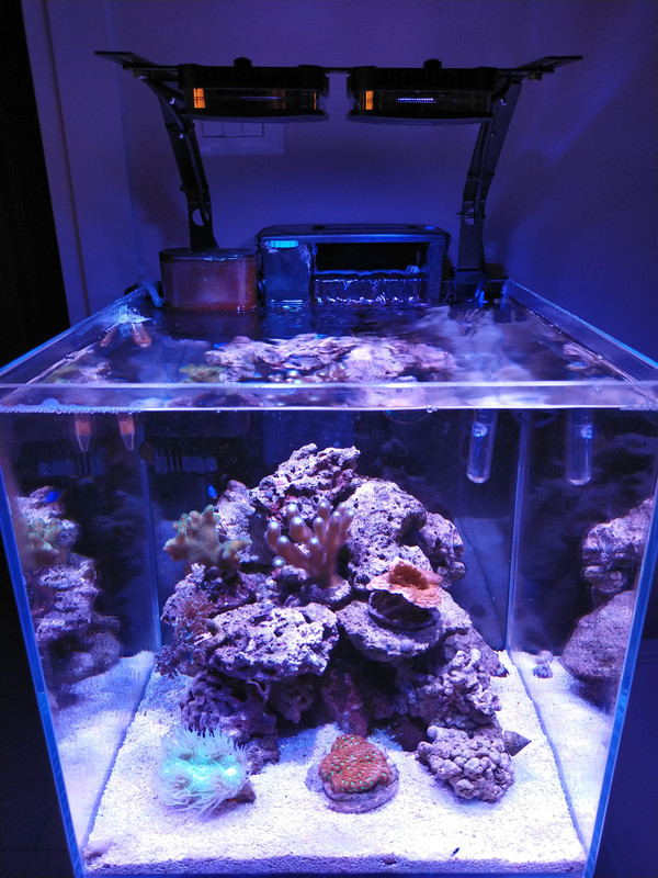 5CC2DDE7-B7DC-4BBC-A910-5D59789BDE0B