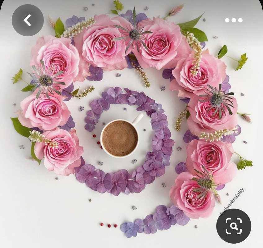 Screenshot_20230511_232356_Pinterest