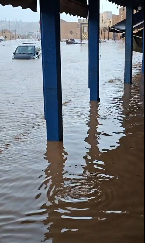 594409949-829193636609900-6114473703644567481-n